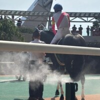 日記をまじめに