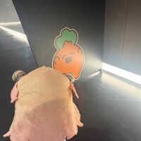 8-025.みみのみーぽち♡