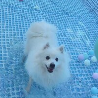 つきの(新人割11/14まで)