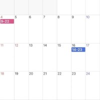 しらゆき