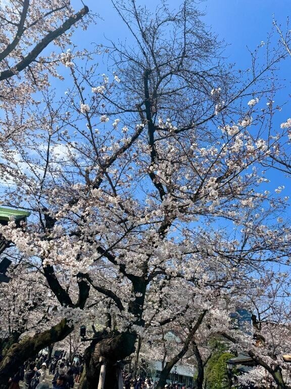 4月ばか