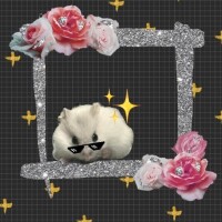 みやび