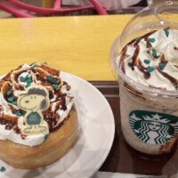 スタバの新作☕️👀✨