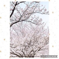 こんばんは⭐️