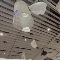 なにげに成功♡