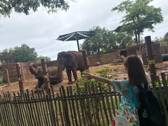 ホノルル♡ZOO