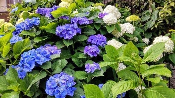 𝑔𝑜𝑜𝑑 𝑚𝑜𝑟𝑛𝑖𝑛𝑔 𓂃🌿𓈒𓏸