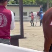 発情期のお嬢さんも私は乗りこなせるんです( ･´ｰ･｀)ﾄﾞﾔｧ