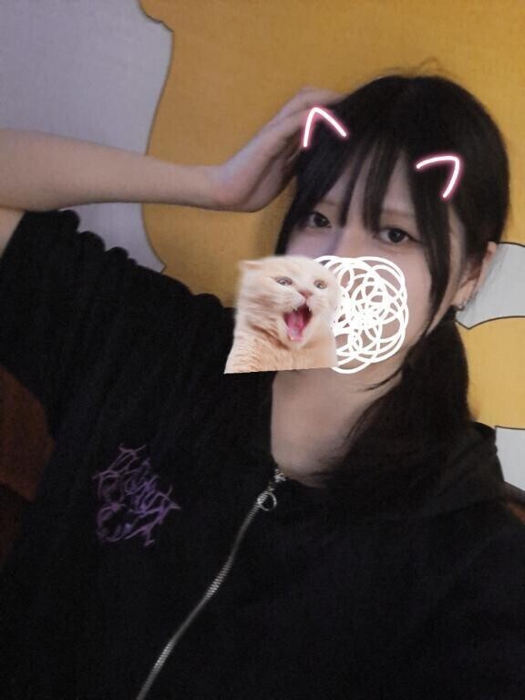 (*・ω・*)wkwk