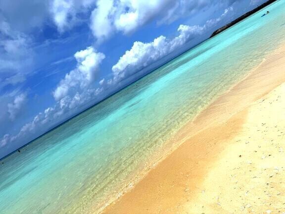 💛出勤について