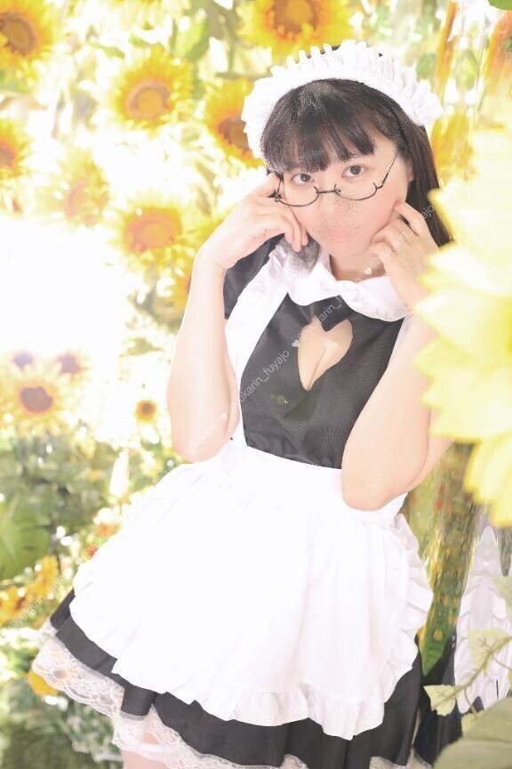 あたらしいヒマワリが…！