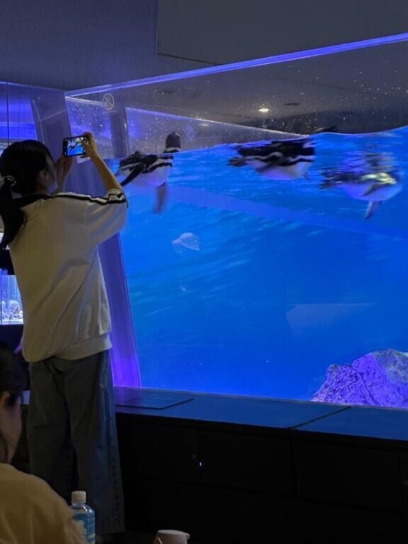 水族館🐧💕(左端で写真撮ってるのが私)