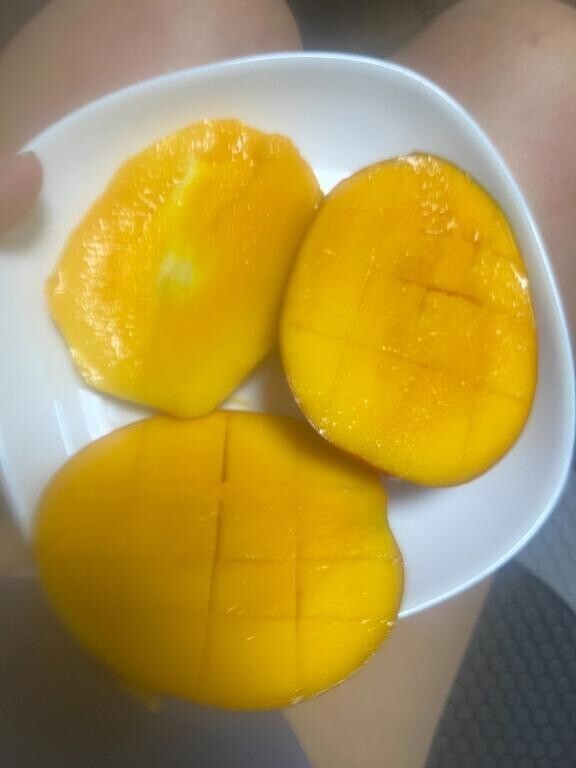 頂き物の