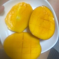 頂き物の