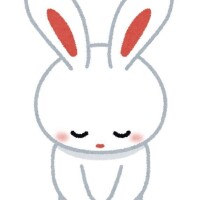 お休みします。