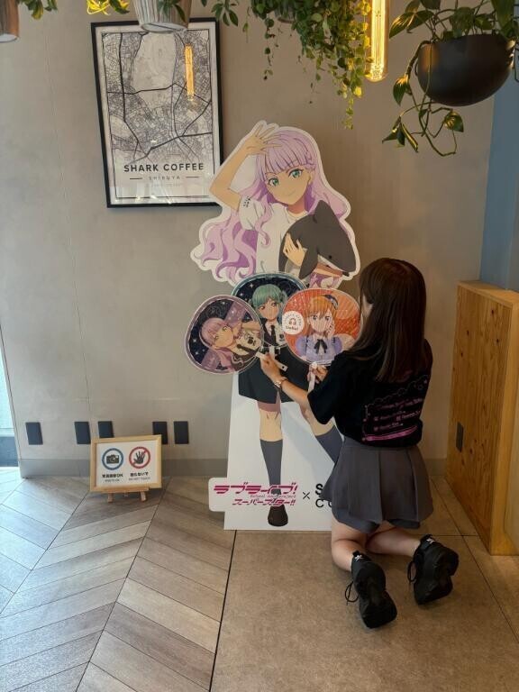 シャークカフェ♡