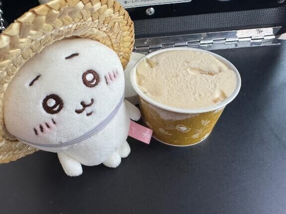‪🍦‬🌰小布施堂の栗アイス🌰‪🍦‬