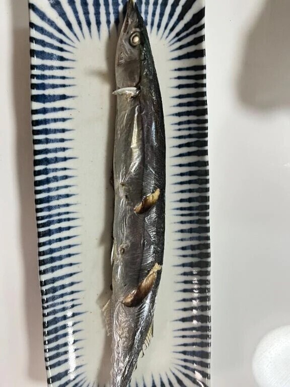 美味しい味覚