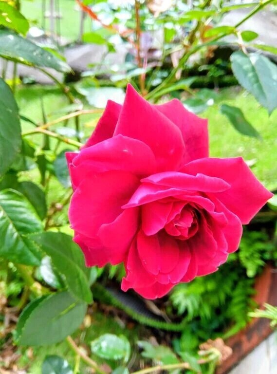 ご無沙汰です？