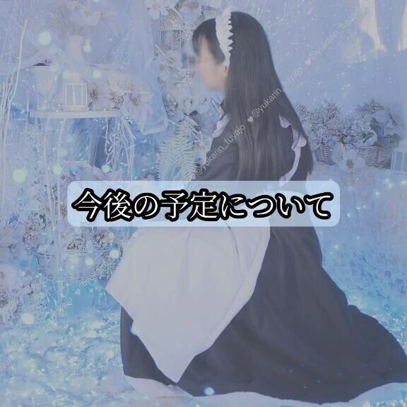 今後の予定について