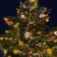 イルミネーション🎄