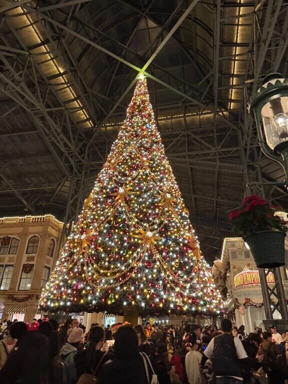 12月もよろしくね💕︎