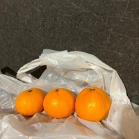 みかんがみかんをもらった！