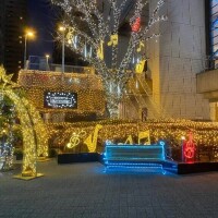 イルミネーションまみれ