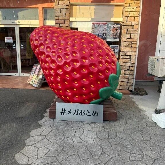 苺〜〜〜🫶🏻