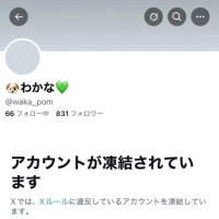 🐶凍結しました💚