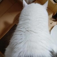 あかね(新人割1/7まで)