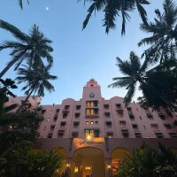 12-096.みみのみーぽち