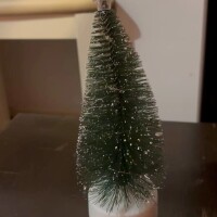 みかん(新人割12/24まで)