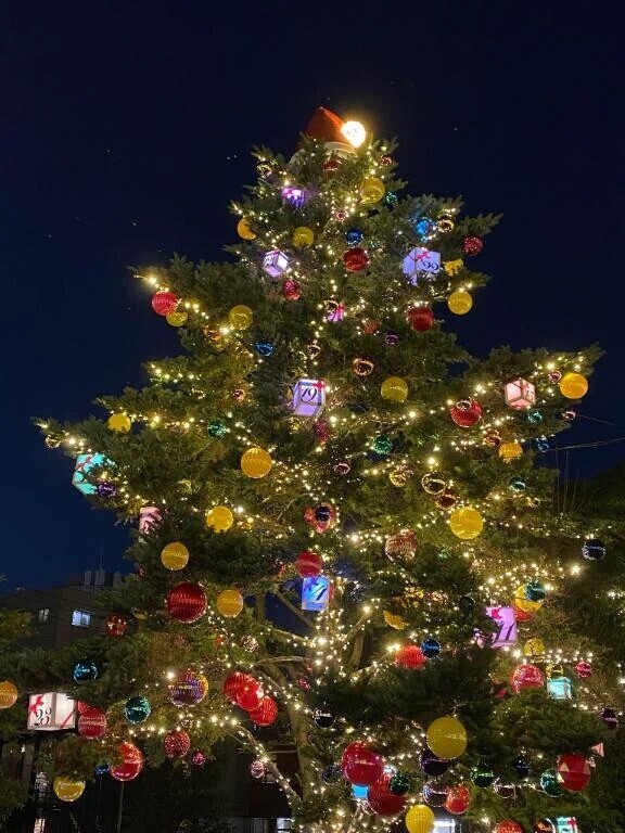 イルミネーション