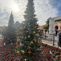 12-182.みみのみーぽち♡