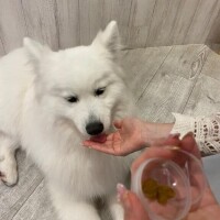 🐶2月休みます💚