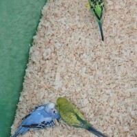 出勤しました！