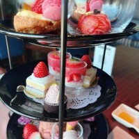 なの(新人割5/20まで)