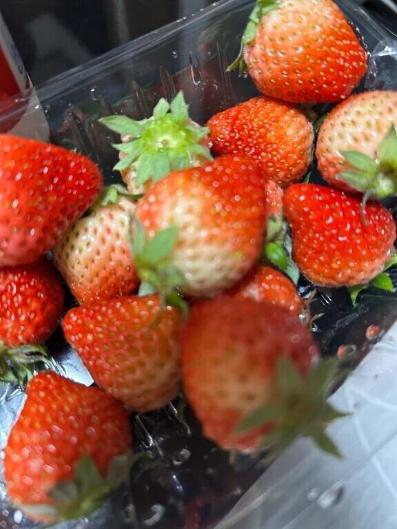 いちご🍓🍼