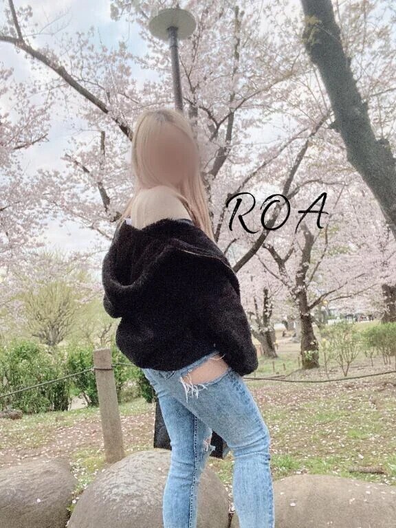 新たな発見𑁊^. .^𑁊♩