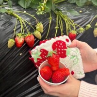 3-139.みみのみーぽち♡