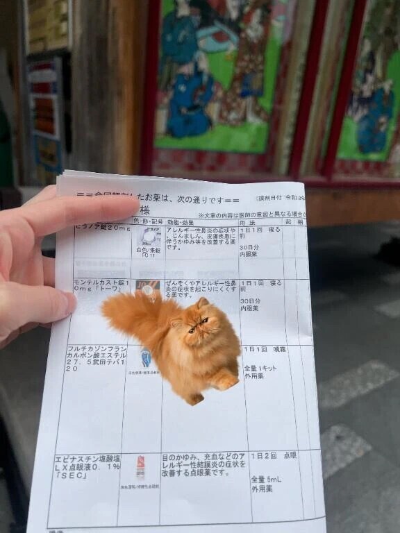 花粉症