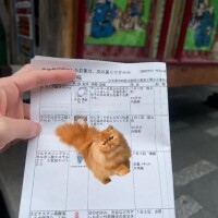 ソフィア(新人割5/30まで)