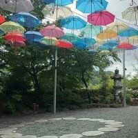 みみ