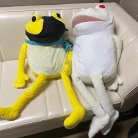みみ