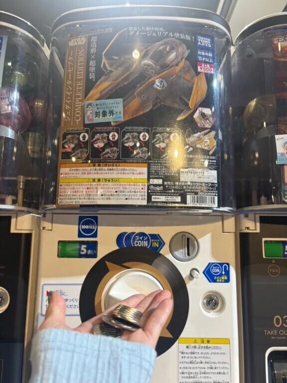 6-008.あった！