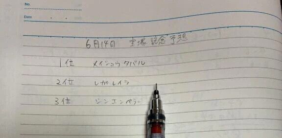 競馬の知識ないです