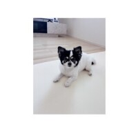 りり