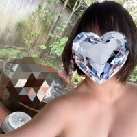 ひまわり