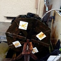 まいこ